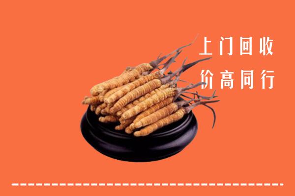高价求购：播州区回收散虫草